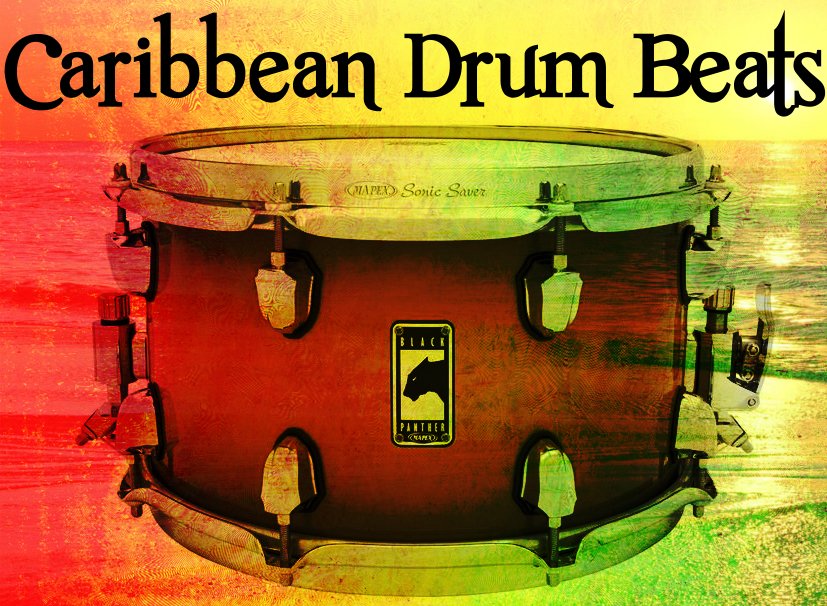 reggae dancehall drum kits